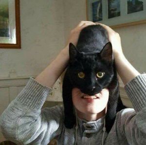 Meet your Posher, Anthony